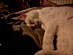 View full size picture