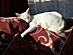 View full size picture