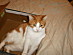 View full size picture