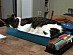 View full size picture