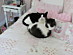 View full size picture
