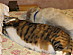 View full size picture