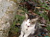 View full size picture