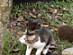 View full size picture