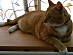 View full size picture