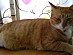 View full size picture