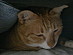 View full size picture
