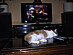 View full size picture
