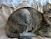 View full size picture