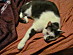 View full size picture