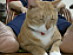 View full size picture