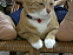 View full size picture