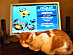 View full size picture
