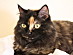 View full size picture