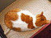 View full size picture