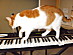View full size picture