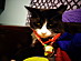 View full size picture