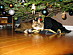 View full size picture