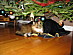 View full size picture