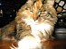 View full size picture