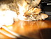 View full size picture