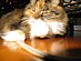 View full size picture