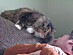 View full size picture