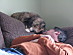 View full size picture