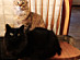View full size picture