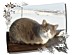 View full size picture