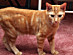 View full size picture