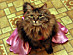 View full size picture