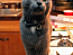 View full size picture