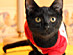 View full size picture
