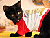 View full size picture