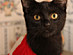 View full size picture