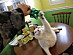 View full size picture