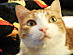View full size picture