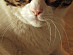View full size picture