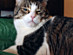View full size picture