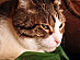 View full size picture