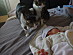 View full size picture