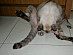 View full size picture
