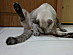 View full size picture