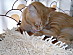 View full size picture