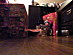 View full size picture