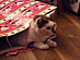 View full size picture