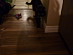 View full size picture