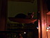 View full size picture