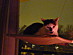 View full size picture